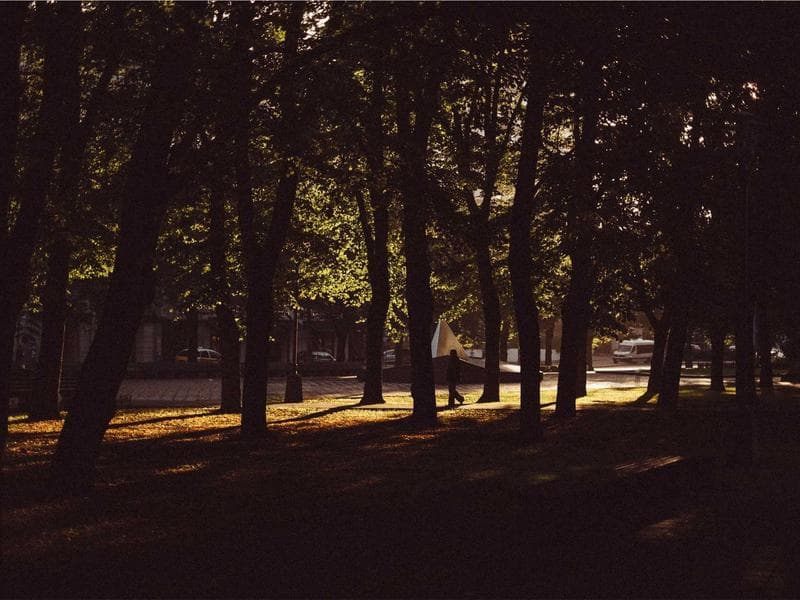 Ortodoncia Invisible 3D